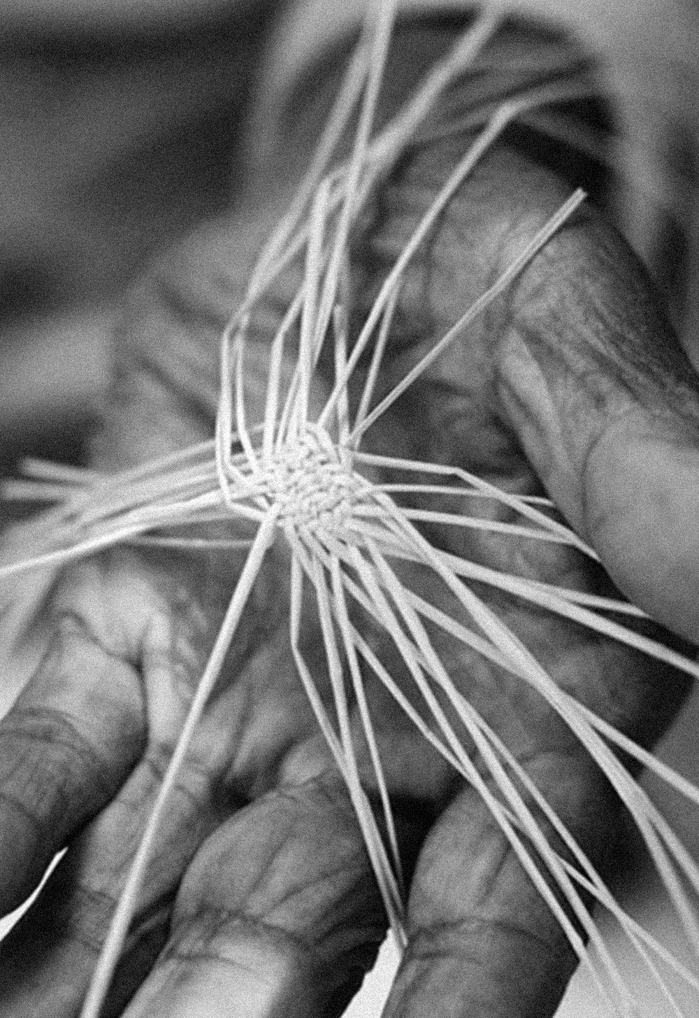 Elise - Fedora-15553195049333-Nancy & Mae Savannah