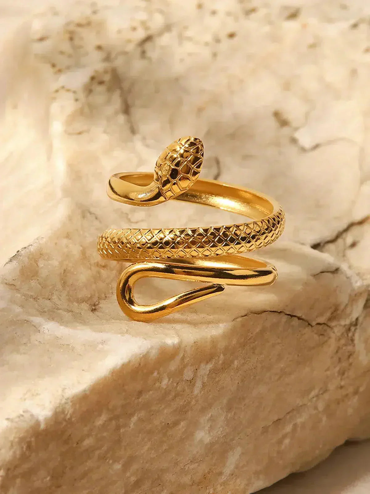 Vipera – Statement design – Titanium steel ring-15227807170933-Mirella Fiore